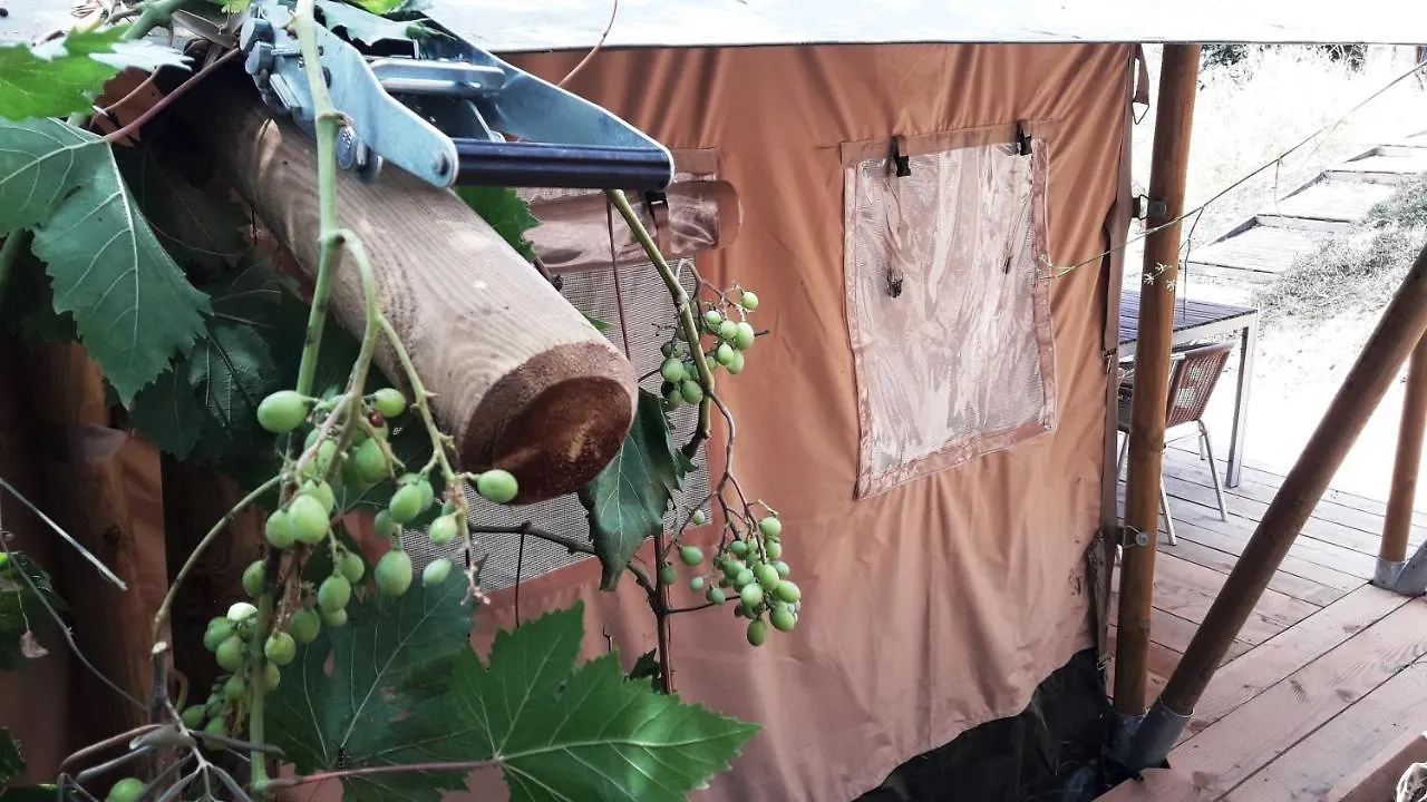 Campo Agave Luxury Tents Villa Sayalonga